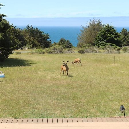 Cozy Getaway With Ocean View And Private Entrance! Hotel Gualala Eksteriør billede